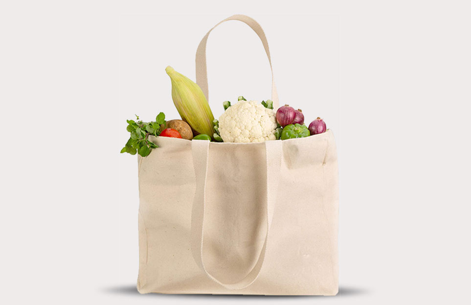 Benefits of using reusable shopping bags - Bag The Future